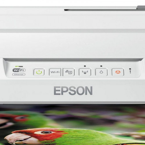 Epson XP-55 Expression Photo Impresora
