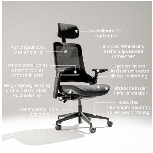 Ergotopia NextBack Pro black