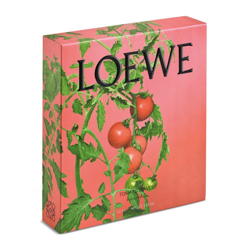 Estuche de regalo Incienso Tomato Leaves Loewe Verde