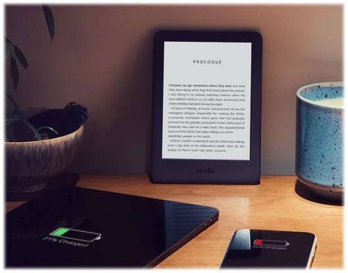 EuroVolter eBook Kindle
