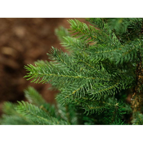 Everlands Grandis Fir 210cm Green (681452)