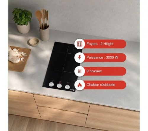 Fagor Placa Vitrocerámica de 2 Quemadores ftv2520t