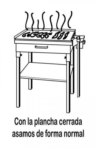 Flores Paellero Gas Plancha con Ruedas