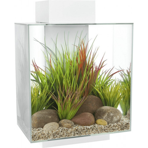 Fluval Edge 2.0 46L