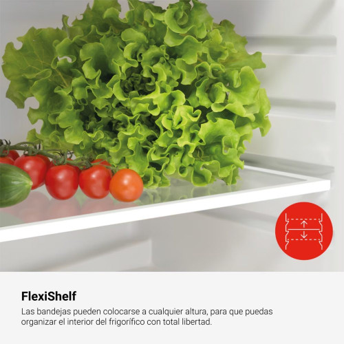 Frigorífico 2 puertas Fagor Classic estático - 3FFJ-1437 Blanco