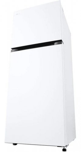 Frigorífico 2 Puertas LG GTBV22SWNJ