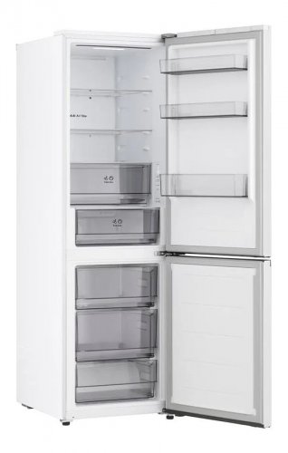 Frigorífico Combi LG GBBSJ10DSW