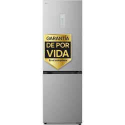 Frigorífico Combi LG GBBSJ11DPY