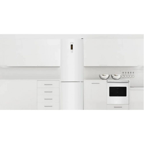 Frigorífico combinado Evvo F60