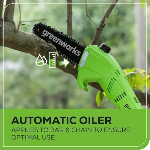 Greenworks GD40PSHK2 Podadora/Cortasetos con pértiga