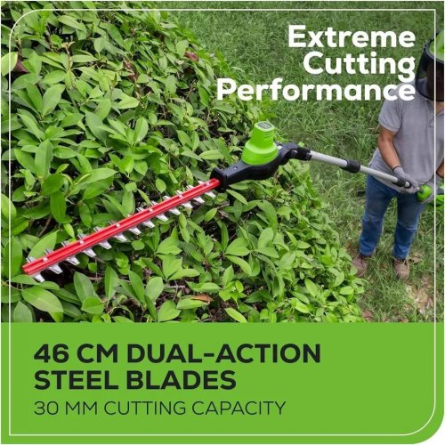 Greenworks GD40PSHK2 Podadora/Cortasetos con pértiga