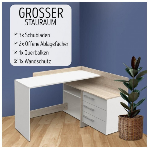 habeig Office desk (881)