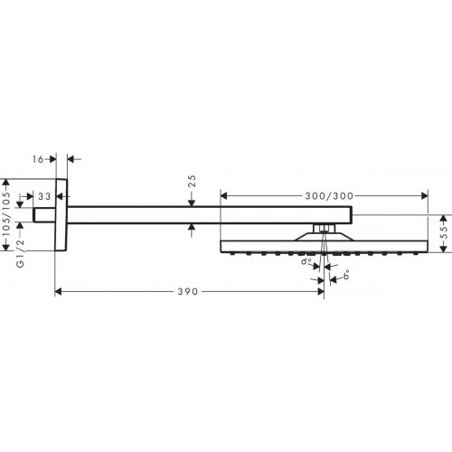 Hansgrohe Raindance E 300 1jet (26239000)