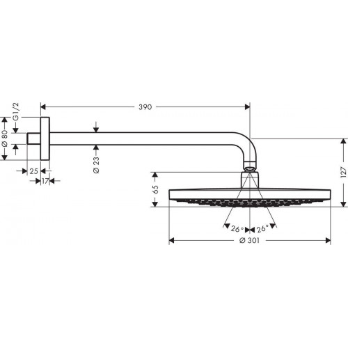 Hansgrohe Raindance Select S 300 (27378000)
