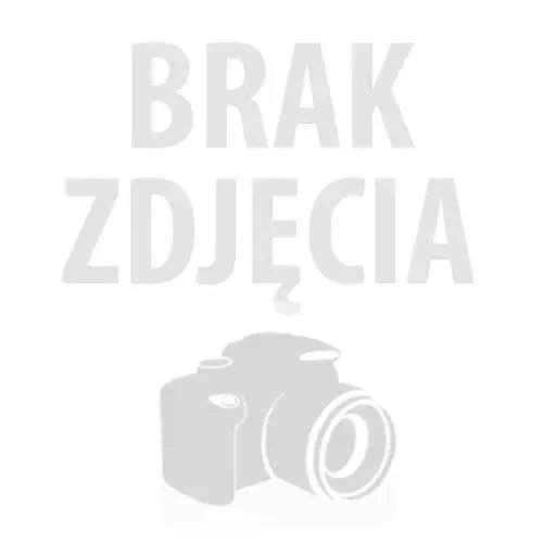 HIKVISION Camera DS-2DE2A204IWG1-E