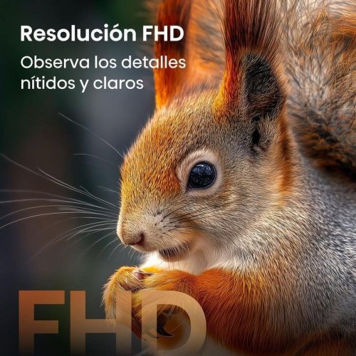 Hisense QLED 32A5S 32