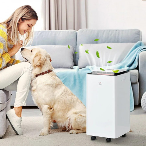HOMCOM Deshumidificador Eléctrico 10L/día Depósito de Agua 2,5L