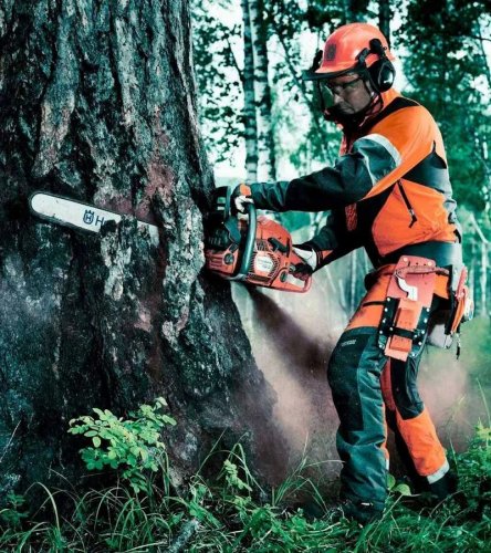 Husqvarna Motosierra 455 Rancher