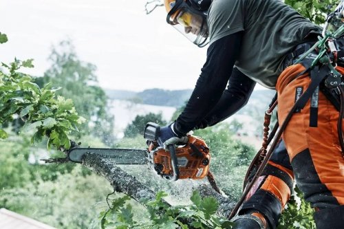 Husqvarna T540XP Motosierra poda
