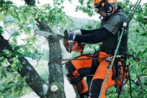 Husqvarna T540XP Motosierra poda