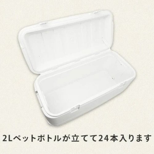 Igloo Nevera Portátil Polar 120