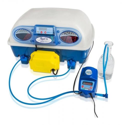 Incubadora Real 24 + Humidificador Sirio