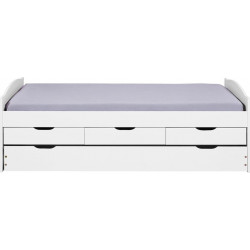 Inter Link Functional Bed Ulli