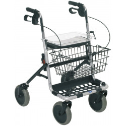 Invacare Rollator Walker Silver/Gray