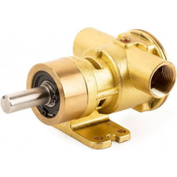 Jabsco Bomba de bronce 52080-2001