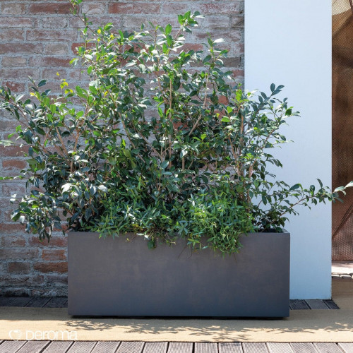 Jardinera rectangular de polipropileno DEROMA 99 x 39 x 38 cm gris con ruedas