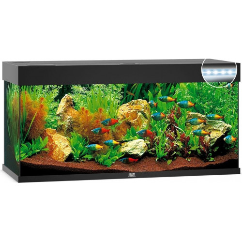 Juwel Rio 240 LED without Cabinet