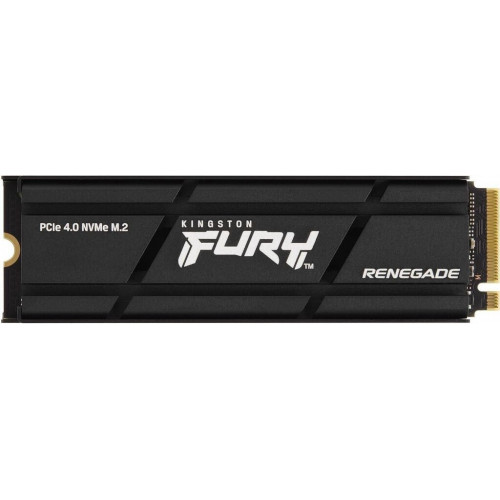 Kingston Fury Renegade M.2