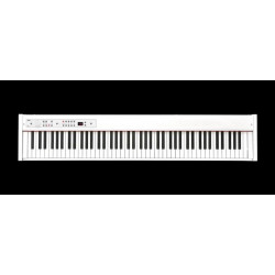 Korg D1-WH