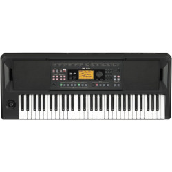 Korg EK-50
