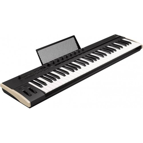 Korg Keystage 61
