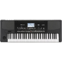 Korg Pa300