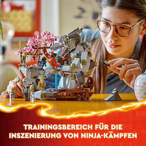 LEGO Ninjago - Santuario de Piedra del Dragón (71819)
