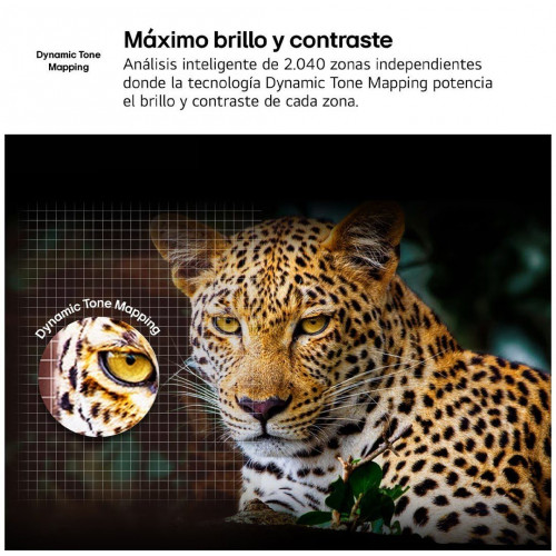LG 55NANO81A6A Negro - TV 55
