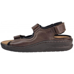 Mephisto Valden V843