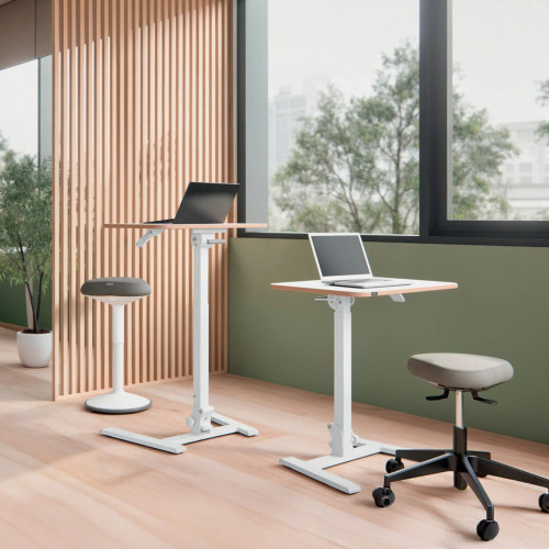 Mesa Escritorio Leitz Ergo regulable Blanco