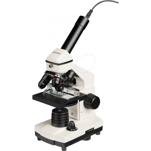 Microscopio digital, 20 - 1280 x, con ocular USB