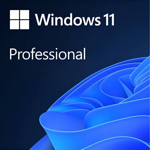 Microsoft Windows 11 Pro