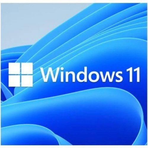Microsoft Windows 11 Pro