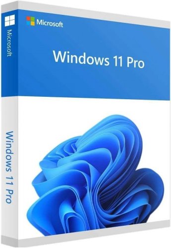 Microsoft Windows 11 Pro