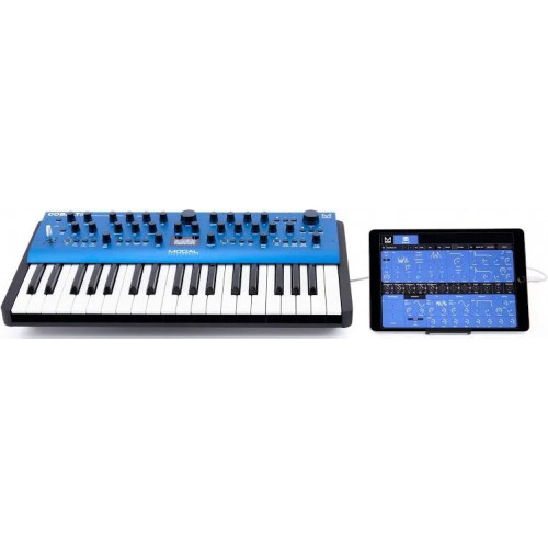 Modal Electronics Cobalt8