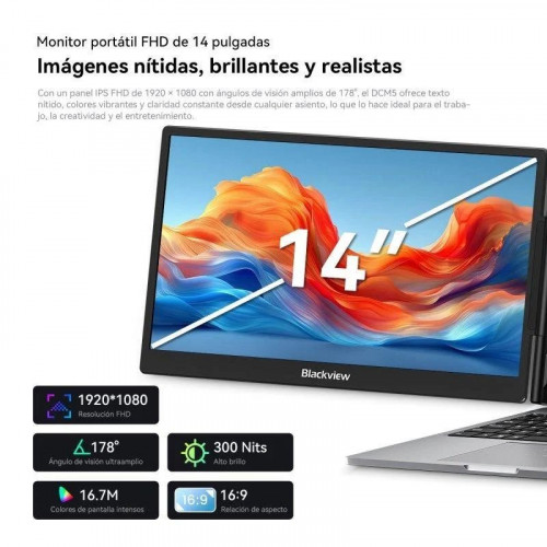 Monitor Blackview DCM5 14