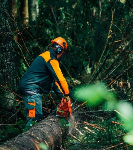 Motosierra forestal ECHO CS 590 /50