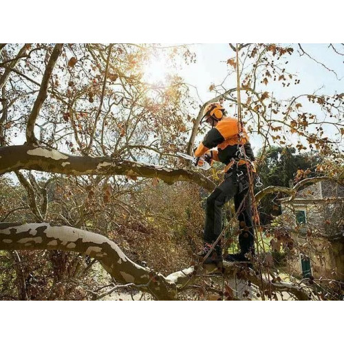 Motosierra STIHL MS 151 TC-E