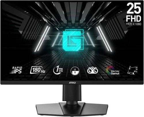 MSI G255PF E2 24.5