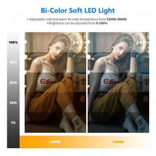 NEEWER 2 Pack NL-192AI Bi-Color LED Panel Light Kit